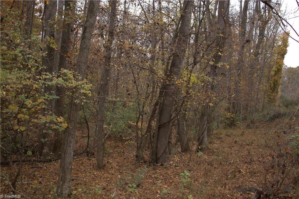 00 Griffin Road Property Photo 17