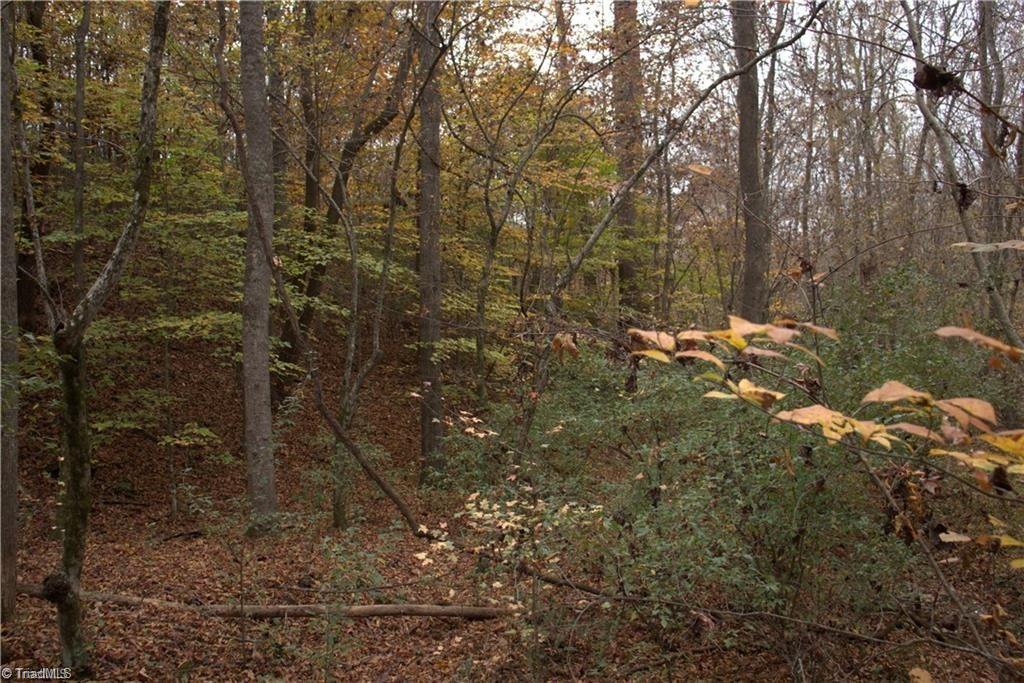 00 Griffin Road Property Photo 18