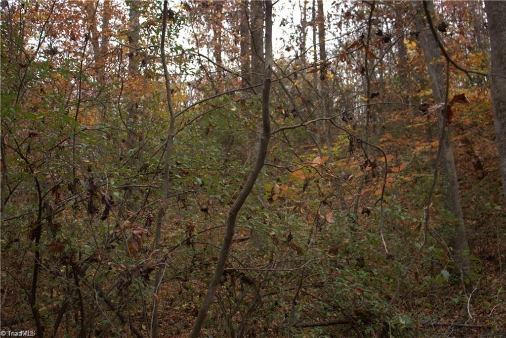 00 Griffin Road Property Photo 20