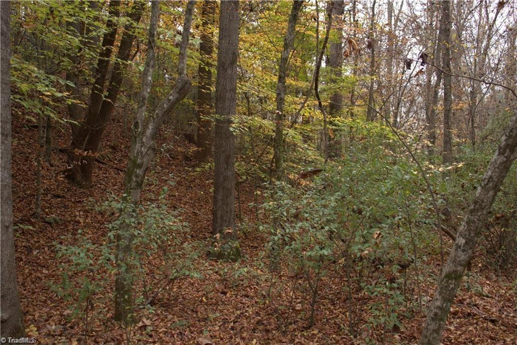 00 Griffin Road Property Photo 23