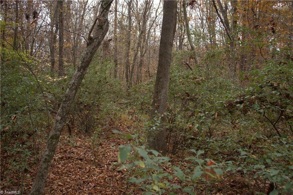 00 Griffin Road Property Photo 24