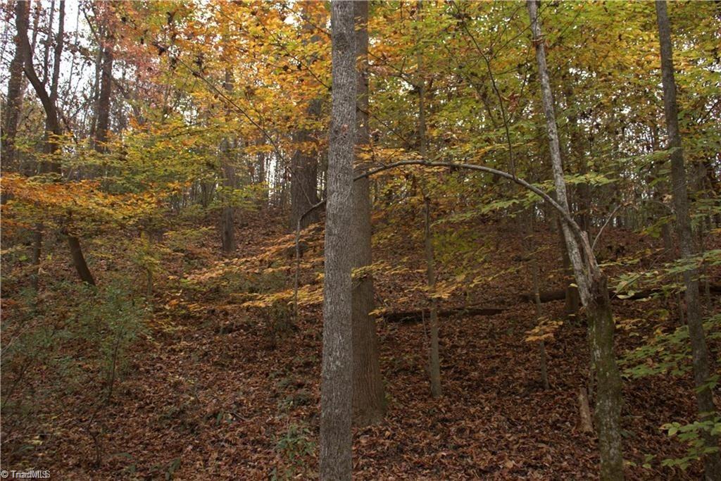 00 Griffin Road Property Photo 25