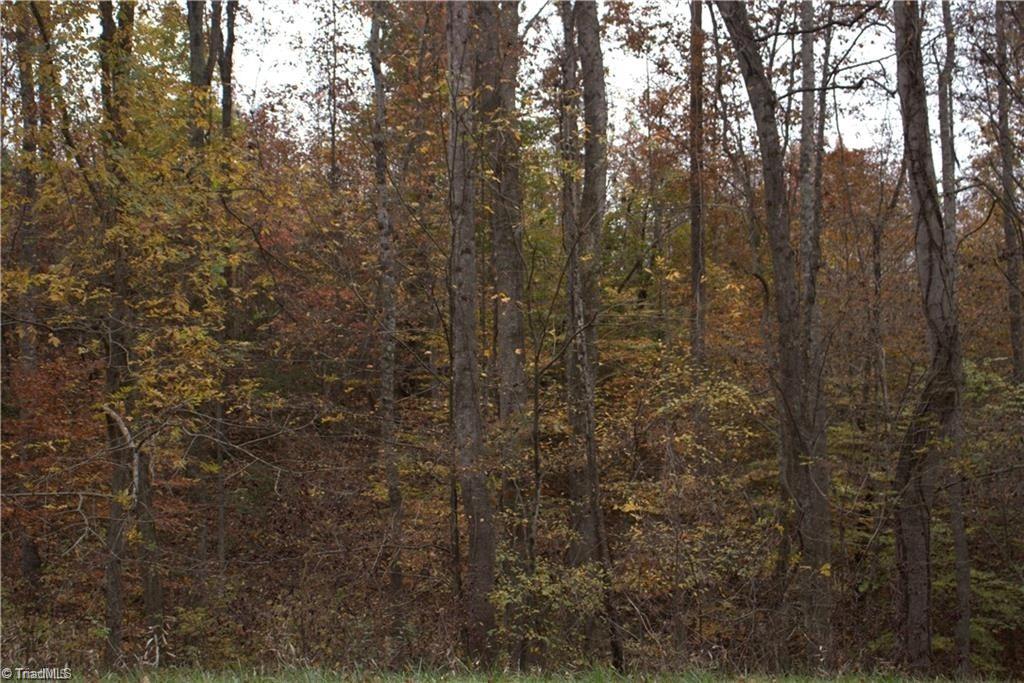 00 Griffin Road Property Photo 28