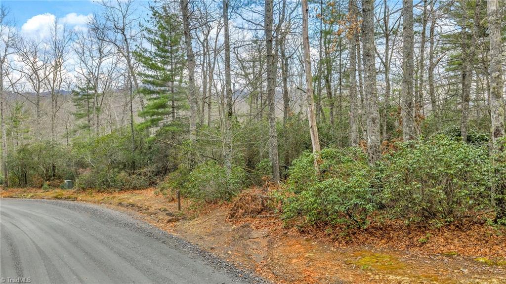 75 Trailwood Drive Property Photo 1