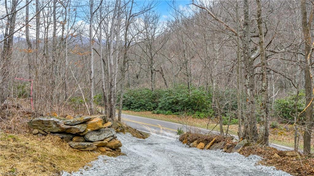 Tbd-2 Three Top Road Property Photo 12