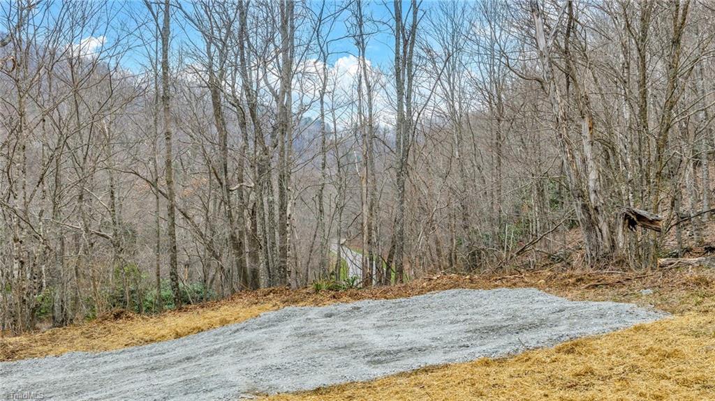 Tbd-2 Three Top Road Property Photo 15
