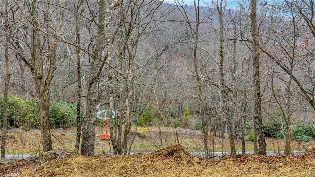 Tbd-2 Three Top Road Property Photo 19
