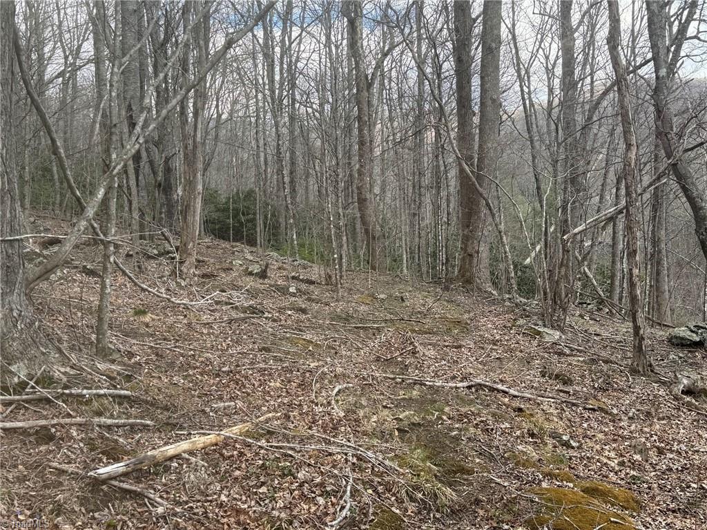 Tbd-2 Three Top Road Property Photo 23
