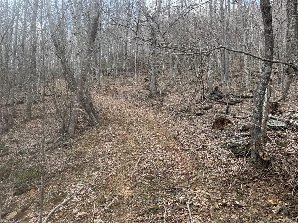 Tbd-2 Three Top Road Property Photo 25