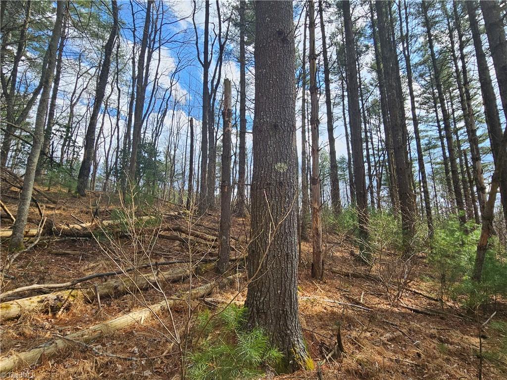 Tbd Panorama Drive Property Photo 1