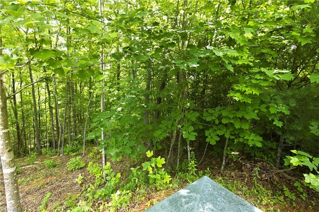 000 Burberry Drive # 19 Property Photo 34