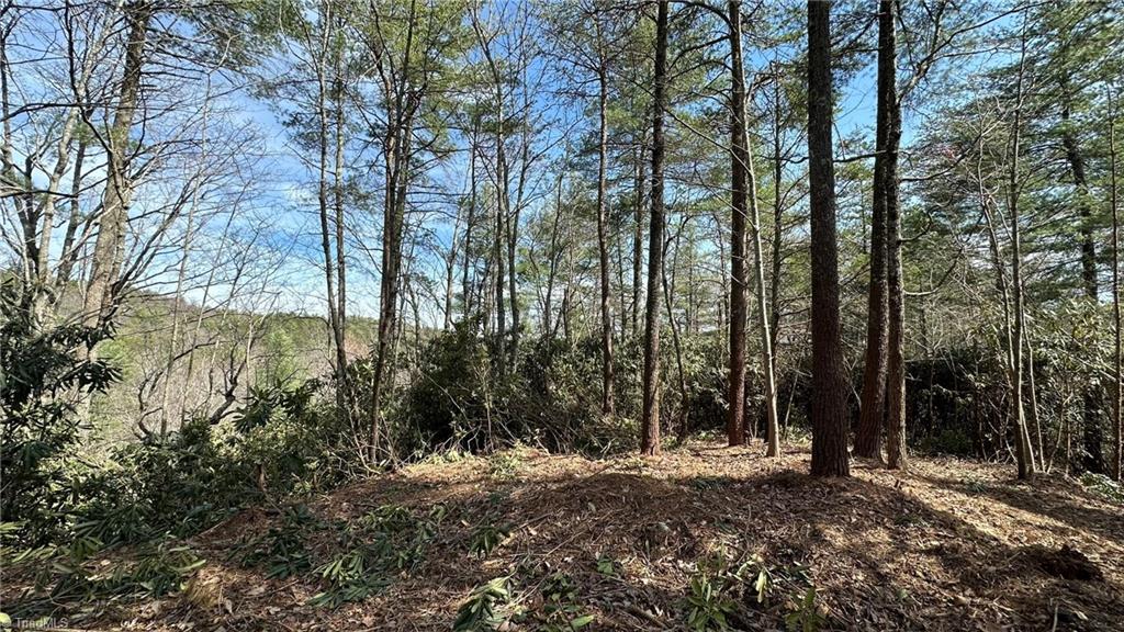 000 White Rock Road Property Photo 1