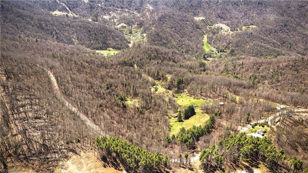 7277 Beech Mountain Road Property Photo 5