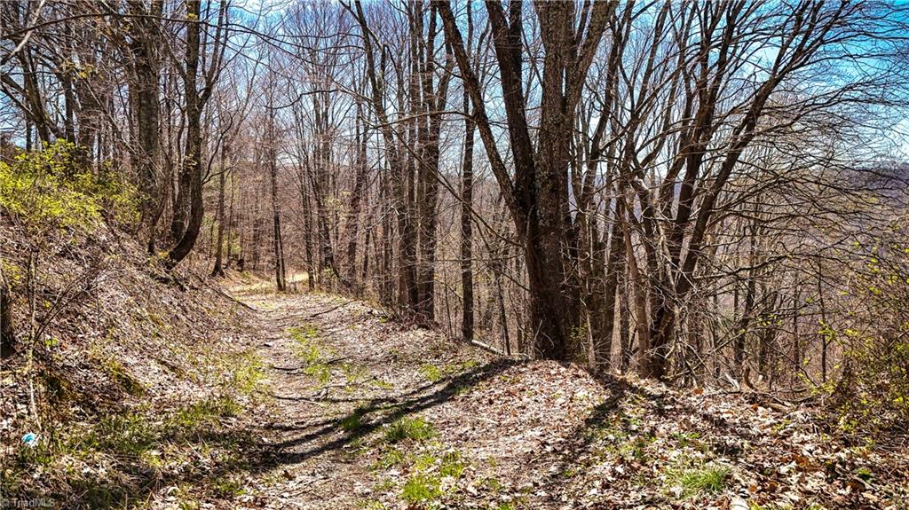 7277 Beech Mountain Road Property Photo 7