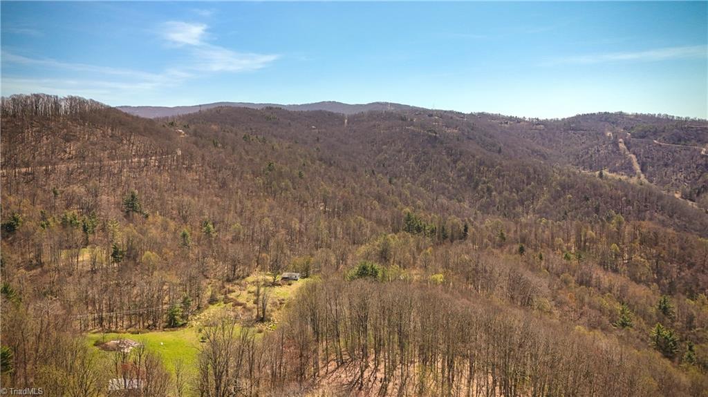 7277 Beech Mountain Road Property Photo 9