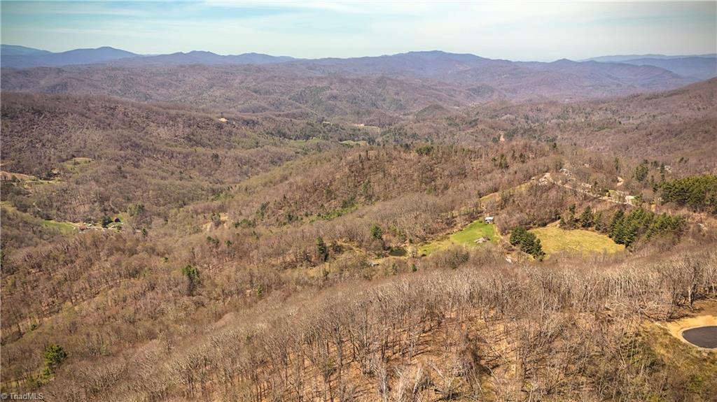 7277 Beech Mountain Road Property Photo 10