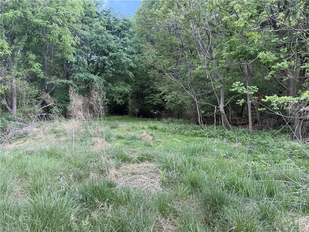 2690 Old Mountain Road Property Photo 8