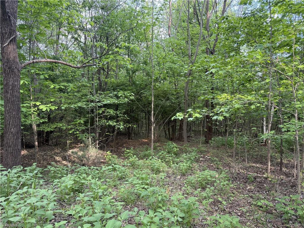 2690 Old Mountain Road Property Photo 10