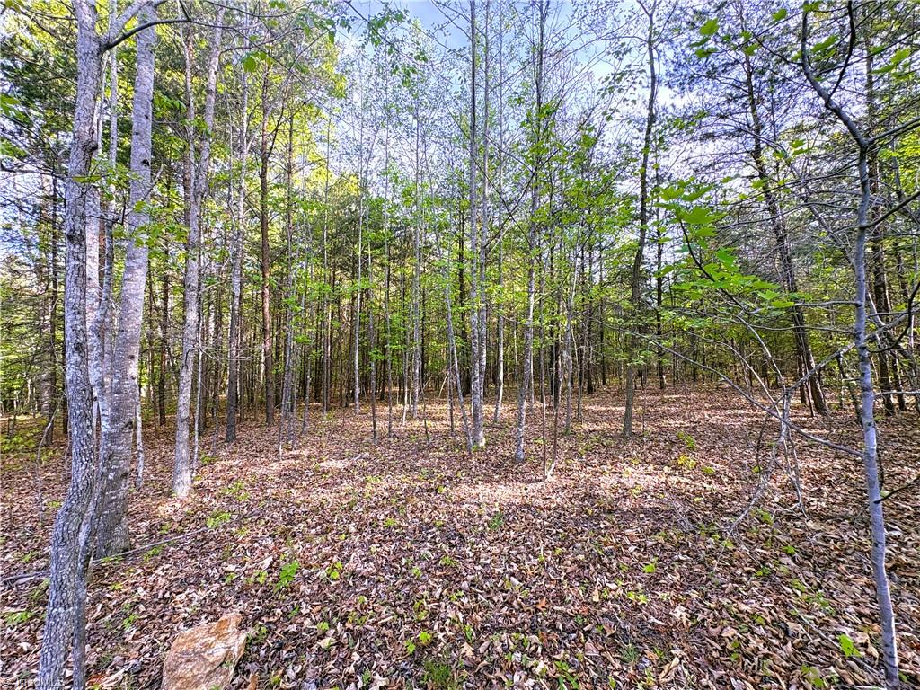521 Matrimony Road Property Photo 1