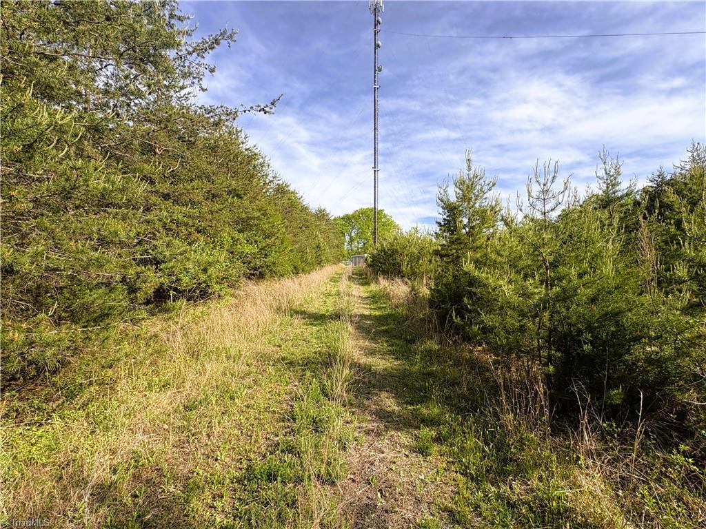 521 Matrimony Road Property Photo 11
