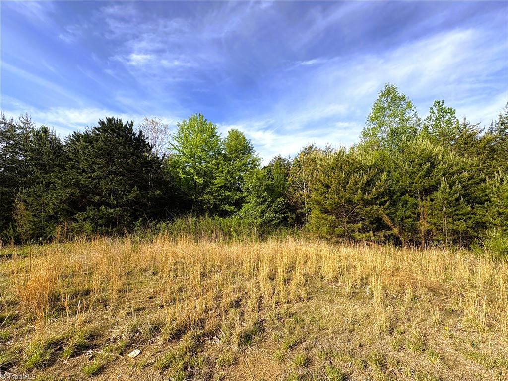 521 Matrimony Road Property Photo 14