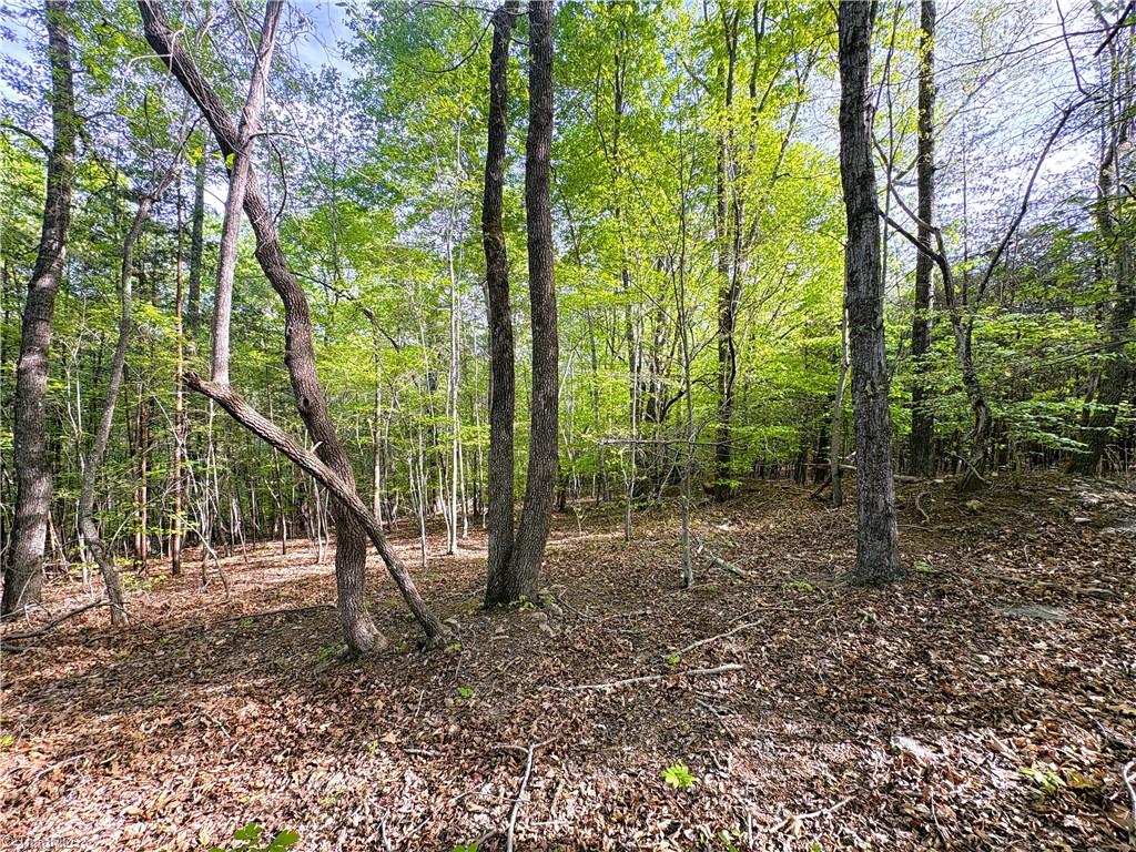 521 Matrimony Road Property Photo 16