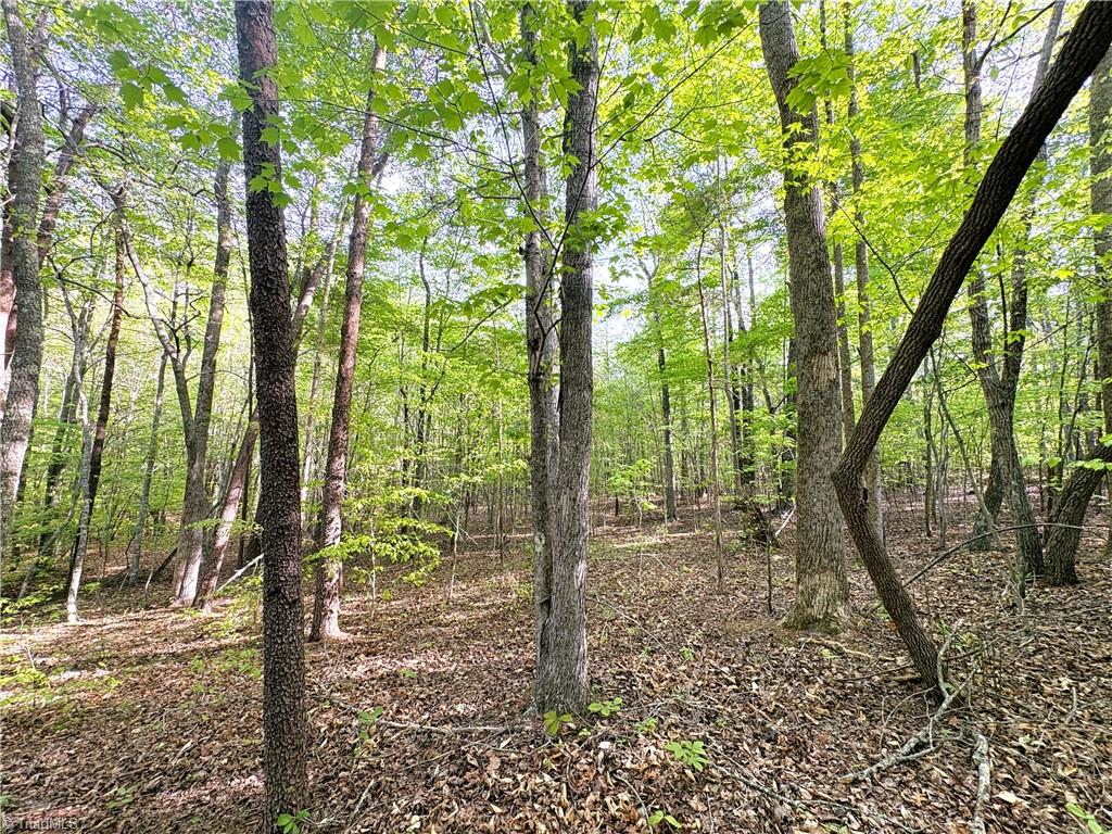 521 Matrimony Road Property Photo 17