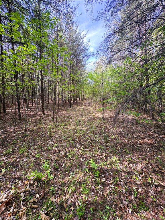 521 Matrimony Road Property Photo 21