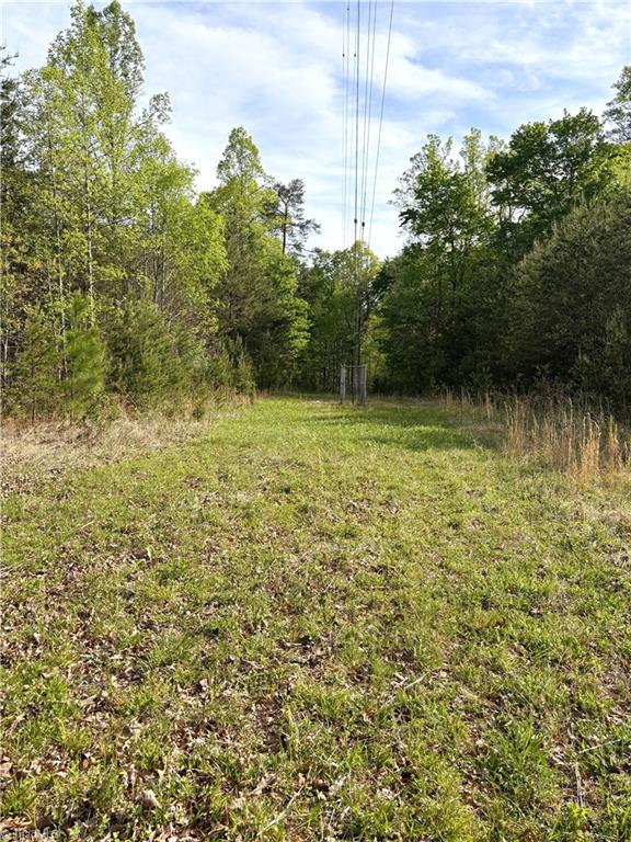 521 Matrimony Road Property Photo 23