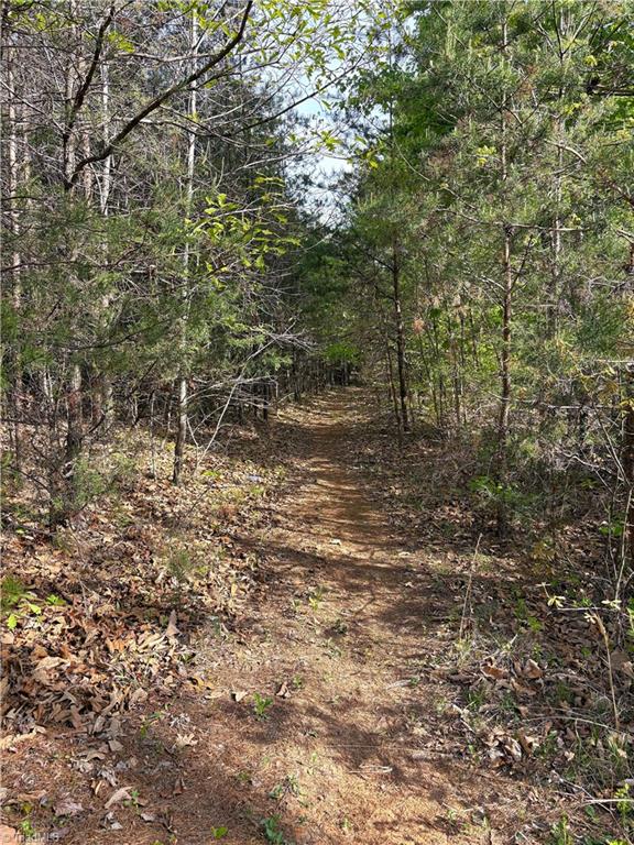 521 Matrimony Road Property Photo 25