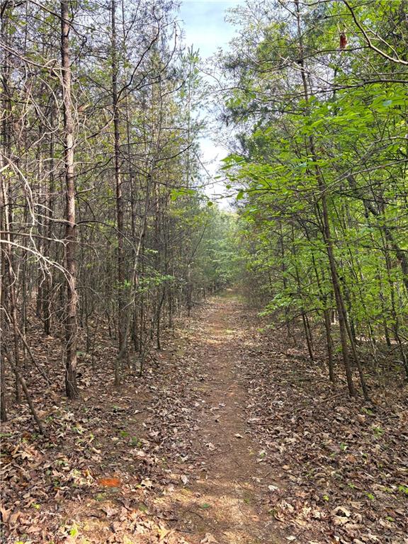 521 Matrimony Road Property Photo 26
