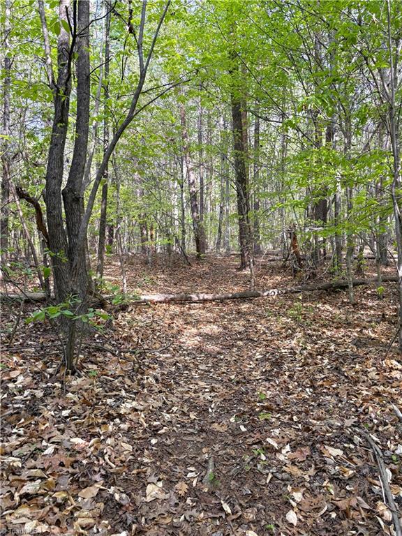 521 Matrimony Road Property Photo 27