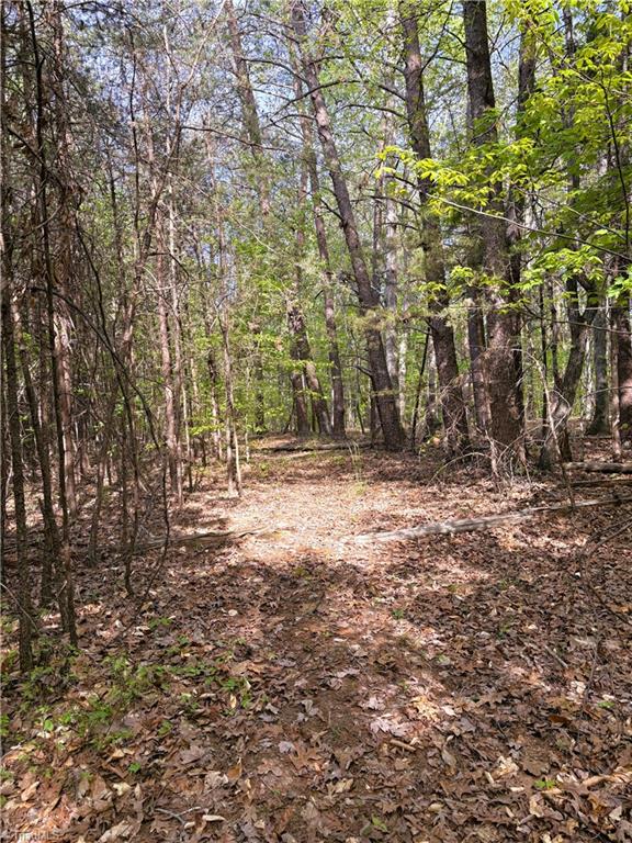 521 Matrimony Road Property Photo 29