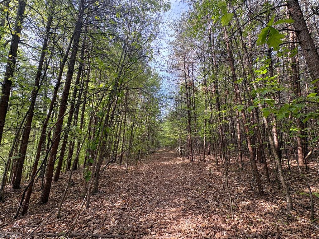 521 Matrimony Road Property Photo 32