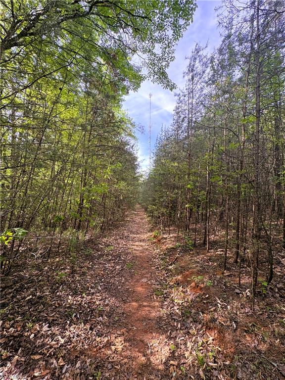 521 Matrimony Road Property Photo 33