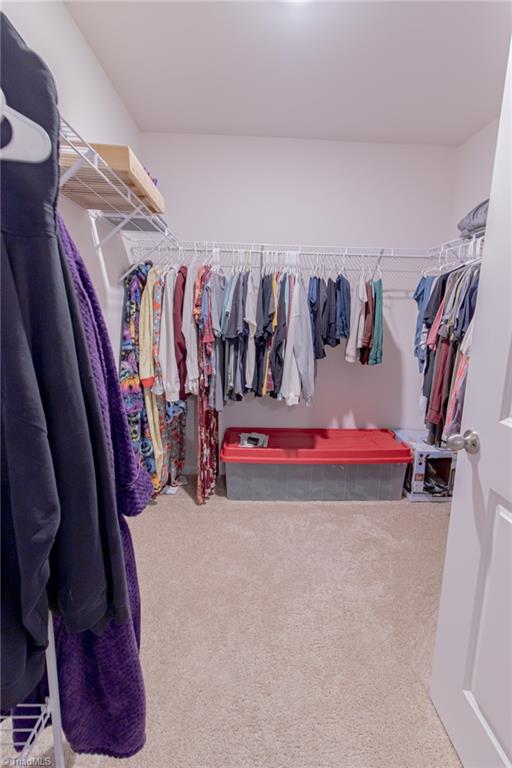 116 Green Mallard Way Property Photo 11
