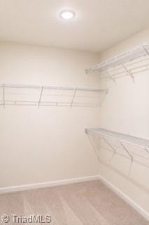 278 Plains Drive Property Photo 24