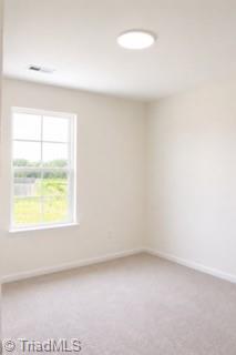 278 Plains Drive Property Photo 29