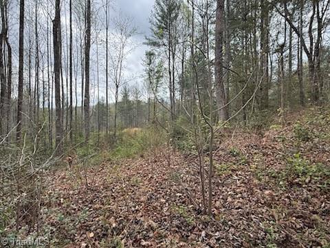 Tbd Hollow Springs Circle Property Photo 1