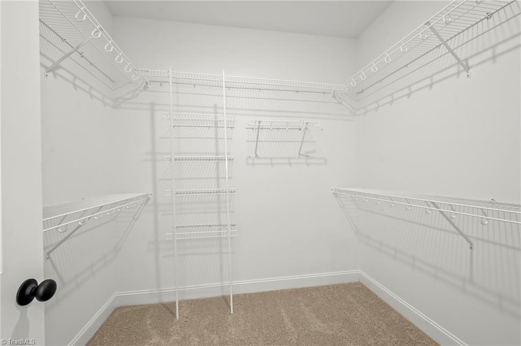 249 Cool Run Property Photo 21