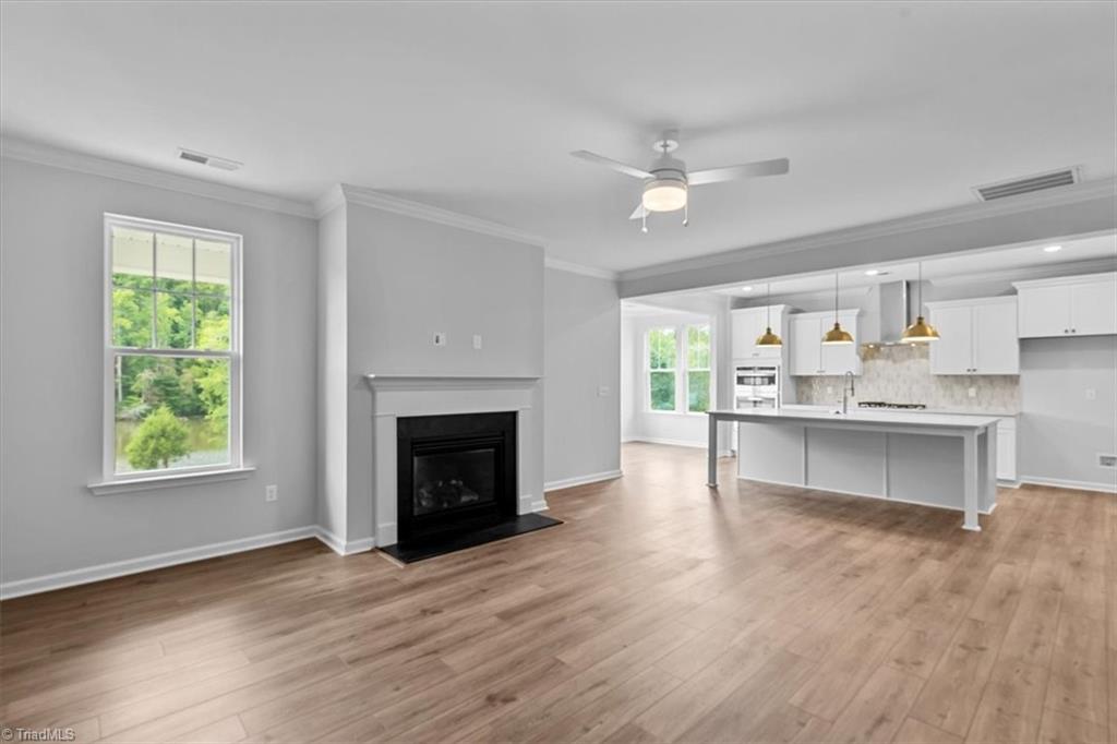 4532 Hanes Lake Drive Property Photo 10