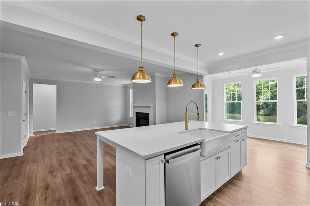 4532 Hanes Lake Drive Property Photo 15