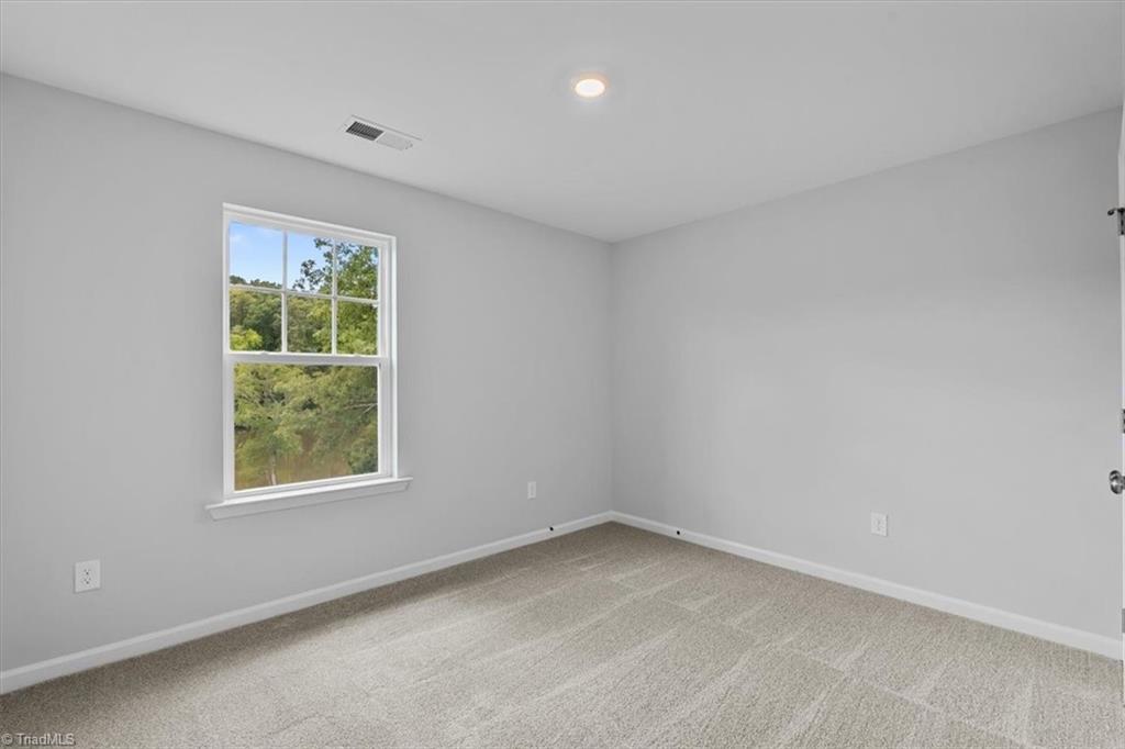 4532 Hanes Lake Drive Property Photo 32