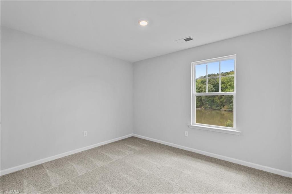 4532 Hanes Lake Drive Property Photo 34