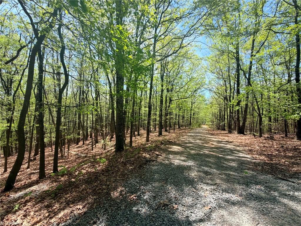 Tbd Raven Ridge Trail Property Photo 1