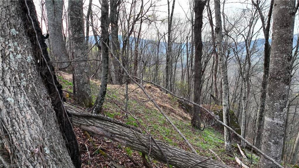 94 Bucks Ridge # 17 Property Photo 3