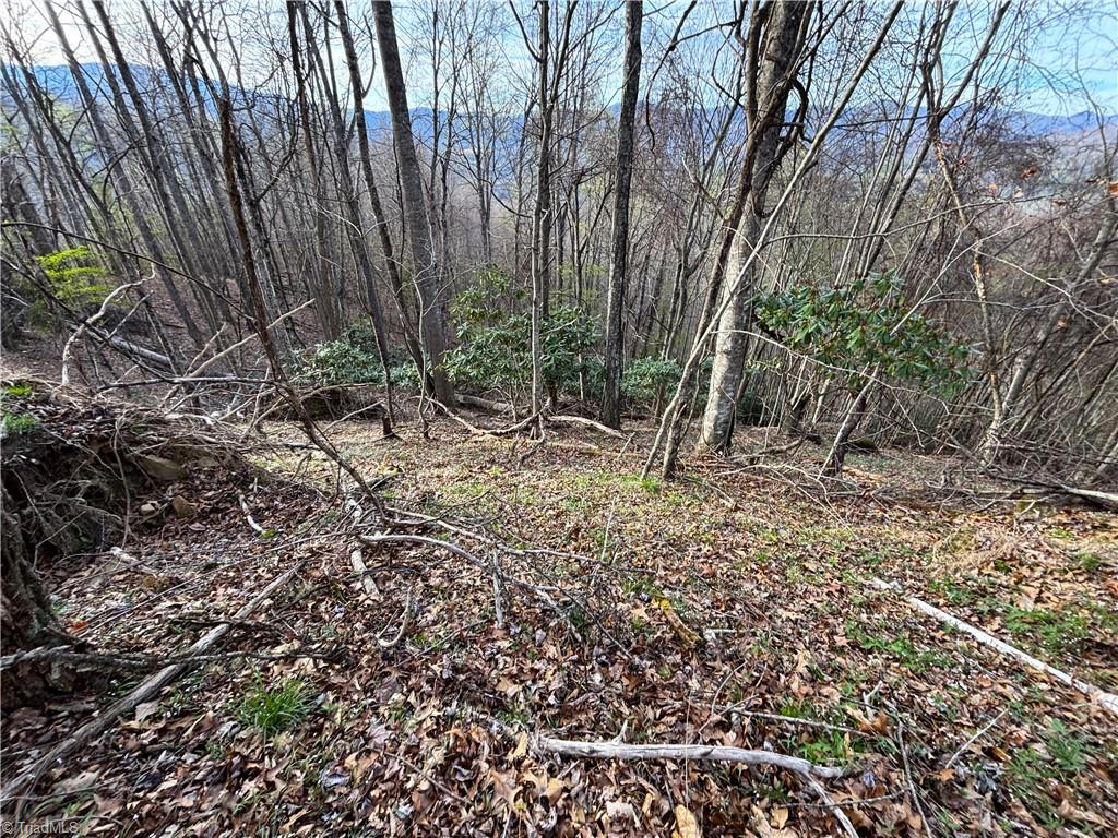94 Bucks Ridge # 17 Property Photo 5