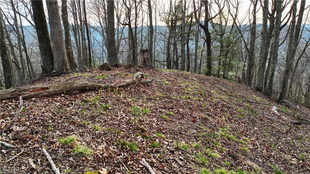 94 Bucks Ridge # 17 Property Photo 11