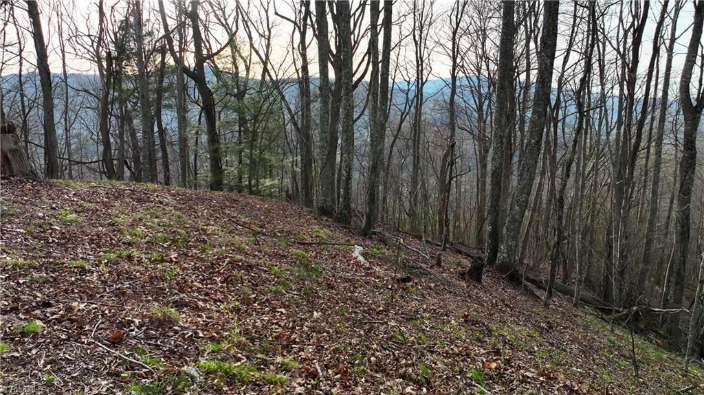 94 Bucks Ridge # 17 Property Photo 12