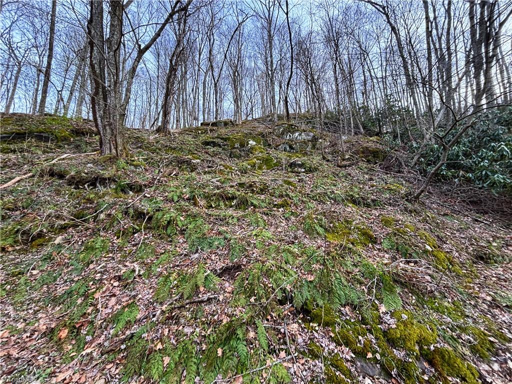 94 Bucks Ridge # 17 Property Photo 15